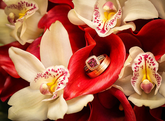 Marc Perlish Photography